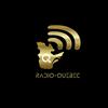 undefined Radio-Québec