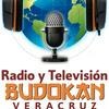 undefined Radio y Televisión Budokan Veracruz