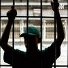 undefined Resocialización de las personas privadas de la libertad