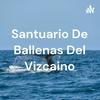 undefined Santuario De Ballenas Del Vizcaino