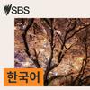 undefined SBS Korean - SBS 한국어 프로그램