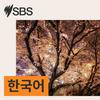 undefined SBS Korean - SBS 한국어 프로그램