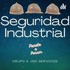undefined Seguridad Industrial - G4