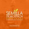 undefined Semilla Monterrey