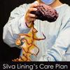undefined Silva Lining‘s Care Plan