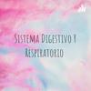 undefined Sistema Digestivo Y Respiratorio