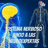 undefined Sistema nervioso junto a las neuroexpertas