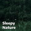 undefined Sleepy Nature – Relaxing Nature Sounds for Sleep & Babies