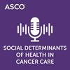undefined Social Determinants of Health in Cancer Care