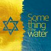 undefined Something In The Water with Rachel Meyerowitz