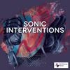 undefined Sonic Interventions