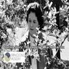 undefined Spring Story: The legacy of Rachel Carson