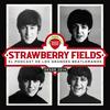 undefined Strawberry Fields