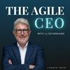 undefined The Agile CEO