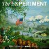 undefined The Experiment
