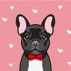 undefined The French Bulldog Podcast By Top Frenchie