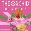 undefined The Orchid Diaries