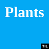 undefined TIL: Plants