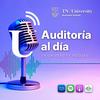 undefined AUDITORÍA AL DÍA