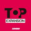 undefined Top Expansión