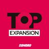 undefined Top Expansión