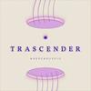 undefined Trascender