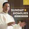 undefined Sunday Homilies with Fr. Mike Schmitz