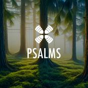 Podcast 1 Year Daily Audio Bible PSALMS