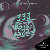 Podcast 333