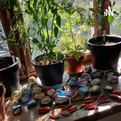 Podcast 4Ds klasspodd