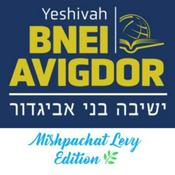 Podcast BNEI AVIGDOR. Learn with us.