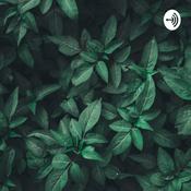 Podcast :)