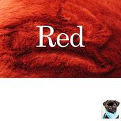 Podcast A Briefer History of Everything...