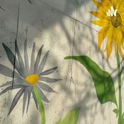 Podcast A little story about ☁️