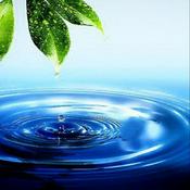 Podcast Abu Muqbil Ali Abbas