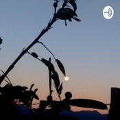Podcast Administración Escolar