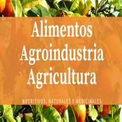 Podcast Alimentos Agroindustria  Agricultura