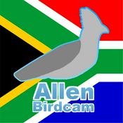 Podcast Allen birdcam's relaxing sounds