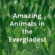 Podcast Amazing Animals in the Everglades!