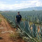 Podcast American Dream Podcast