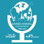 Podcast Amigo Animal - Notisistema
