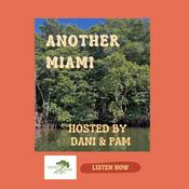 Podcast Another Miami