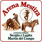 Arena Mestiza