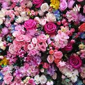 Podcast Audio Actividades