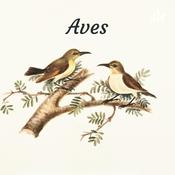 Podcast Aves: animais fantásticos e suas caraterísticas