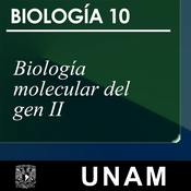 Podcast Biología molecular del gen II