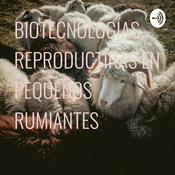 Podcast BIOTECNOLOGÍAS REPRODUCTORAS EN PEQUEÑOS RUMIANTES