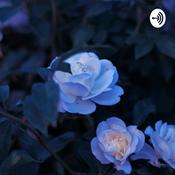 Podcast Birth orders Really Do Count!