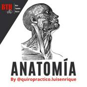 Podcast BTH-Anatomía