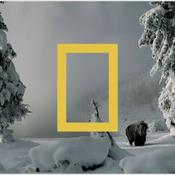 Podcast Buiten Het Kader